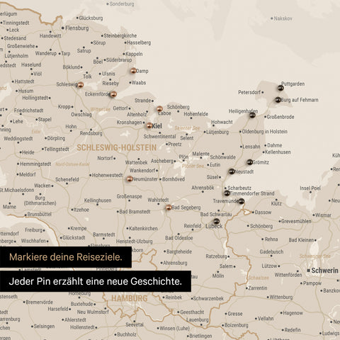 Detail einer Deutschland-Karte als Pinn-Leinand in Gold mit Pins in Schleswig-Holstein