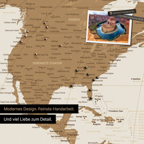 World map in the Equal Earth projection as a Push Pin Map in bronze, with travel destinations in the USA and Canada marked with pins