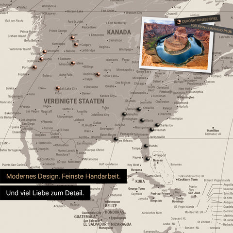 Weltkarte in der Equal-Earth-Projektion als Pinnwand in der Farbe Warmgray (Braun-Grau), auf der Reiseziele in den USA und Kanada mit Pins markiert sind