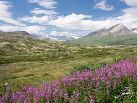 Rundreise durch Alaska: Ein Reisebericht mit 18 Tipps & Sehenswürdigkeiten