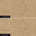 Deutschland-Karte Leinwand in Sonar Black (Schwarz-Gold) wahlweise mit oder ohne Straßennetz