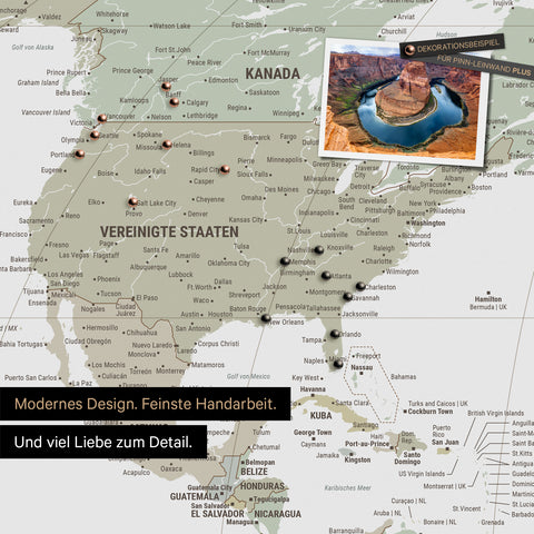 Weltkarte in der Equal-Earth-Projektion als Pinnwand in der Farbe  Multicolor Sage, auf der Reiseziele in den USA und Kanada mit Pins markiert sind