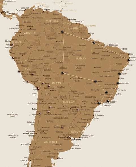 Weltkarte mit Ausschnitt von Südamerika und mit Pins abgesteckten Reisezielen