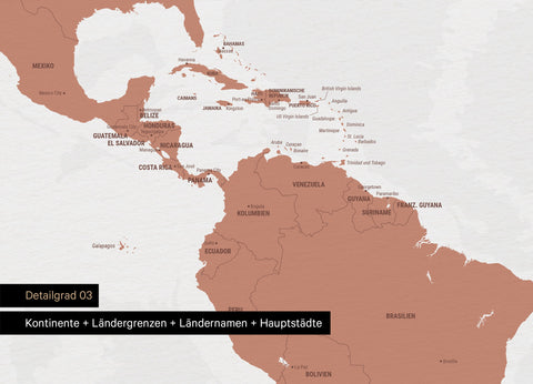 Weltkarte Foto-Tapete in Kupfer mit Grenzen und Ländernamen