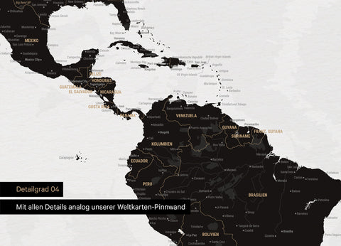 Detailansicht einer Weltkarte Foto-Tapete in Schwarz-Weiß mit allen Details