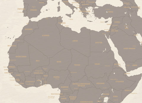 Detail einer schlichten Weltkarte Foto-Tapete in Braun-Grau als Wandbild